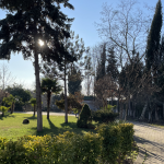 Çatalca’da Göz Alıcı Tripleks Villa ve Misafir Evleri