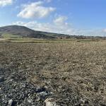 Gelibolu Sütlüce’de Yatırımlık Tarla – 203 m² Hisseli Tapu